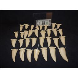 JURASSIC PARK T REX TEETH HUGE LOT COMPLETE SET?