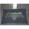 Image 1 : BATMAN VS SUPERMAN DAWN OF JUSTICE WARRIOR SHOP SAMPLE SUIT CHEST BAT GLYPH WITH NOTES BEN AFFLECK 3