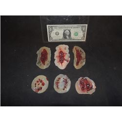 THE WALKING DEAD BLOODY ROTTON ZOMBIE BITES & WOUNDS LOT OF 6