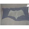 Image 1 : BATMAN VS SUPERMAN DAWN OF JUSTICE BAT SUIT CHEST WITH GLYPH TEST 4
