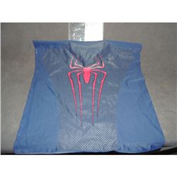 SPIDERMAN THE AMAZING 2 SUIT BACK GLYPH WITH SPIDER WEBBING ON SHEET WITH NOTES