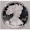 Image 2 : 2010 W AMERICAN SILVER EAGLE NGC PROOF 70 ULTRA CAMEO