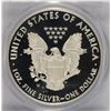 Image 3 : 2010-W PROOF SILVER AMERICAN EAGLE PCGS PR-69 DCAM (FIRST STRIKE)