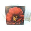 Image 1 : 18X18 RED POPPY CANVAS PRINT