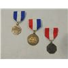 Image 1 : LOT 3 VINTAGE ACADEMIC MEDALS