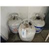 Image 1 : LOT 3 15LBS PROPANE TANKS