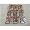 Image 1 : LOT 9 2014 MARIAN HOSSA HOCKEY CARDS