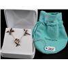 Image 1 : LADIES TIFFANY & CO. SILVER EARRINGS AND PENDANT, RIBBON CANCER WITH TIFFANY BAG. THE REPLACEMENT CO