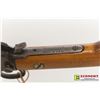 Image 7 : Winchester 1906 Rifle