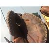 Image 9 : Sports Memorabilia Lot