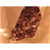 Image 2 : Penny Hoard