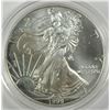 Image 1 : 1999 SILVER AMERICAN EAGLE