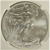 Image 2 : 2014 (S) AMERICAN SILVER EAGLE, NGC MS-70 EARLY RELEASES