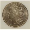Image 2 : 1904 MORGAN DOLLAR PCI MS-62