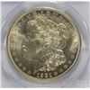Image 2 : 1921-D MORGAN DOLLAR PCGS MS-64+