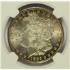 Image 2 : 1885-CC MORGAN DOLLAR NGC MS-64