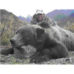 10 Day Alaskan Grizzly Bear Hunt for 1 Hunter