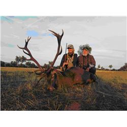 Spanish Mountain Hunt 1 Iberian Mouflon Sheep or 1 Iberian Red Deer (hunter choice)
