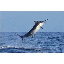 1 ¾ day of deep sea fishing in the sea of Cortez