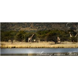 5 Day hunt for 1 hunter in South Africa