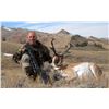 Image 3 : LA-3 KAYCEE WYOMING, ANTELOPE HUNT WITH SCOLARI OUTFITTERS