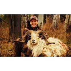 LA-4 TEXAS DALL SHEEP HUNT - ROCKY MOUNTAIN ELK RANCH, IDAHO