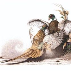 LA-5 SHERRY STEELE LITHO PRINT FLASHPOINT-PHEASANTS IMAGE 21.5X15