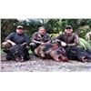 Image 1 : LA-8 WILD BOAR HUNT WITH DOGS FOR 4 AT ROSS HAMMOCK RANCH