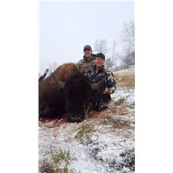 LA-16 2 DAY BISON HUNT FOR ONE HUNTER IN MT