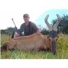 Image 1 : LA-18 NAMIBIA 7 DAY HUNT WITH 5 TROPHIES FOR ONE HUNTER, OMUJEVE SAFARIS