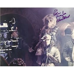 STAR WARS COLOR GLOSSY PHOTO SIGNED BY PETER MAYHEW
