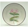 Image 1 : A creamware botanical dessert plate, possibly Swansea, finely painted with a Perriwinkle, named v...