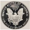 Image 3 : 2006-W PROOF SILVER AMERICAN EAGLE NGC PF-69 UC (FIRST STRIKS)
