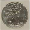 Image 2 : 2011 (S) SILVER AMERICAN EAGLE NGC MS-69