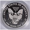 Image 2 : 2013 (ENHANCED) SILVER AMERICAN EAGLE