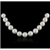 Image 2 : 14KT White Gold Pearl Necklace