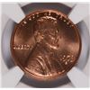 Image 2 : 1973-S LINCOLN CENT, NGC MS-66 RED!  RARE! THERE HAVE BEEN NO SALES OF MS-67 RED