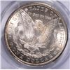 Image 3 : 1884-CC MORGAN DOLLAR PCGS MS-64