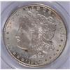 Image 2 : 1900-O MORGAN DOLLAR PCGS MS-64+