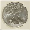 Image 2 : 2011 (S) SILVER AMERICAN EAGLE NGC MS-69