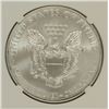 Image 3 : 2013 SILVER AMERICAN EAGLE NGC MS-70 !!!! (EARLY RELEASE)