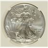 Image 2 : 2013 (W) SILVER AMERICAN EAGLE NGC MS-69