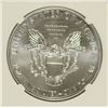 Image 3 : 2013 (W) SILVER AMERICAN EAGLE NGC MS-69