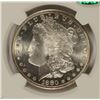 Image 2 : 1880-S MORGAN DOLLAR NGC MS-66 (CAC)