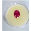 Image 1 : GENUINE RUBY (APPROX. 2.5CT, 8X6mm) GEMSTONE