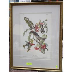 FRAMED PRINT OF AUDOBON'S "PILDRY FLYCATCHER"