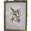 Image 1 : FRAMED PRINT OF AUDOBON'S "PILDRY FLYCATCHER"