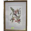 Image 1 : FRAMED PRINT OF AUDOBON'S "PILDRY FLYCATCHER"