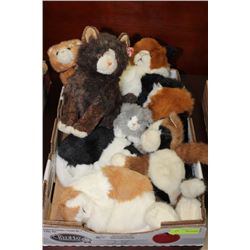 FLAT OF STUFFED ANIMALS ON CHOICE