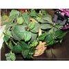 Image 1 : ARTIFICIAL PLANT WITH BASKET